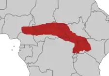 Hvidtoppet turakos udbredelse