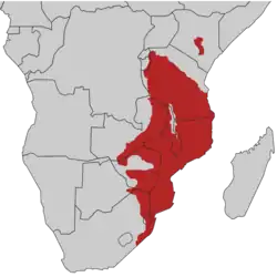 Violettoppet turakos udbredelse