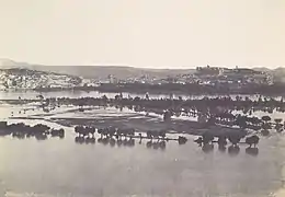Oversvømmelse i Avignon i 1856