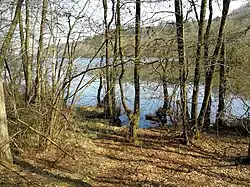 Vestenden af Thorsø set mod sydøst