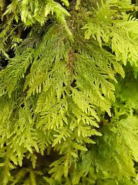 Foto: Michael Becker