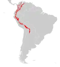 Udbredelse af brillebjørn