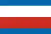 Regionen Trenčíns flag