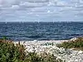 Tunø Knob Havmøllepark, set fra Stenkalven i vest