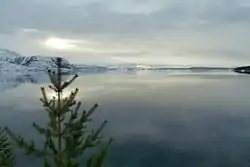 Haukøyfjorden set mod sydvest.