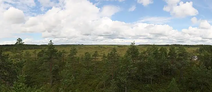 Mosen Vajosuo i Kurjenrahka Nationalpark.