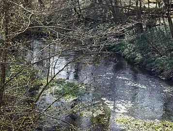 Vejle Å ved Randbøldal