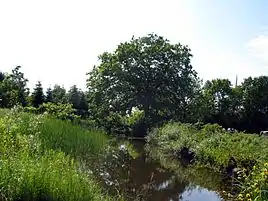 Vandingssted ved Hærvejen/Oksevejen