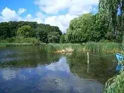 Udsnit af Maribo Søndersø