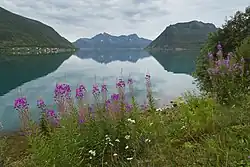 Sifjorden set fra Sifjord. Fjeldet midt i billedet er Lendepolltindan (737 moh.) og Flestindan (673 moh.). Fjeldet længst til højre er Veidmannsfjellet (503 moh.)