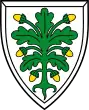 Coat of arms of Aichach