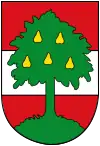 Våben for Dornbirn