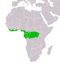 Vanddværghjortens udbredelse