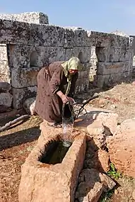 Vandingstrug til kvæg