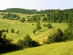 Landskab i Bliesgau ved Böckweiler