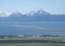 Udsigt over Homer og Kachemak-bugten