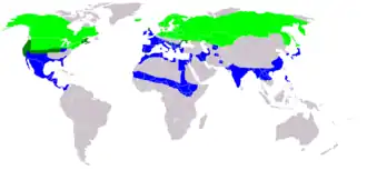 Spidsandens udbredelsesområde &nbsp;&nbsp;&nbsp;&nbsp;&nbsp;Sommer&nbsp;&nbsp;&nbsp;&nbsp;&nbsp;&nbsp;&nbsp;&nbsp;Hele året&nbsp;&nbsp;&nbsp;&nbsp;&nbsp;&nbsp;&nbsp;&nbsp;Vinter