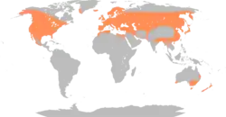 Gråandens udbredelse