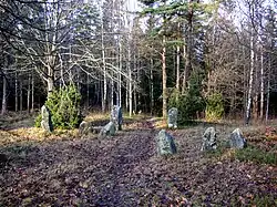 Jernaldergrav, Bergaholm