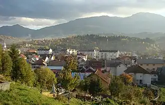 Panoramaudsigt over Borșa