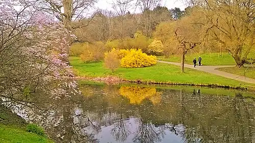 Botanisk Have Aarhus, 2019.
