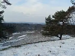 …og om vinteren over Naturpark Aukrug.