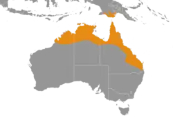 Kravegams udbredelse