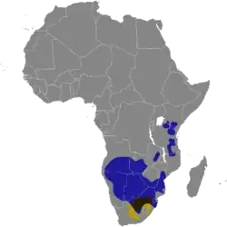 Udbredelseskort: Hvidhalet gnu markeret med gulOksegnu markeret med blåOverlappende områder brunsort