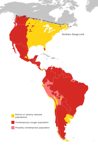 Pumaens udbredelse.