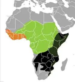 Udbredelse af de tre Dendroaspis arter inklusive D. angusticeps (østgrøn mamba). D. polylepis
D. angusticeps
D. viridis