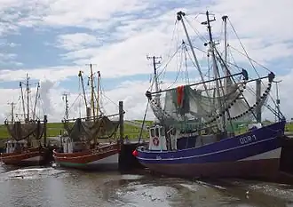 Rejekutter i Dorum-Neufeld