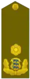 Estland Brigaadikindral