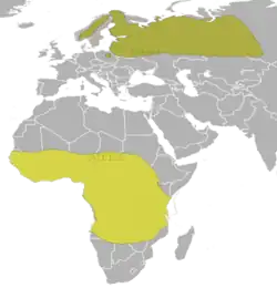 Udbredelse af G. media Yngleområde vinterkvarter