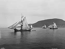 Hardangerjakter på Vigrafjorden ved Ålesund i slutningen af 1800-tallet.