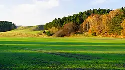 Karakteristiske randbakker ned for Skiffard