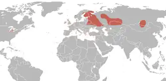 Omtrentlig udbredelse
Sommer Vinter