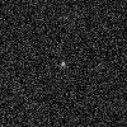 Leda optaget af WISE