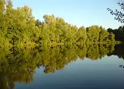 Liubotyn pond