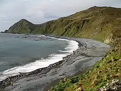 En strand på Macquarieøen
