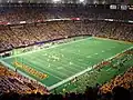 University of Minnesota Golden Gophers