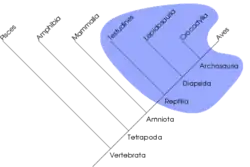 En parafyletisk gruppe