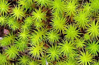 Foto: Christian Fischer