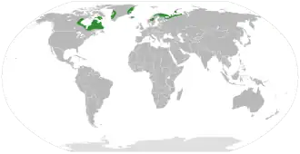 Rank kodrivers udbredelsesområde