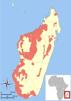 Samlet udbredelse af slægtens arter.