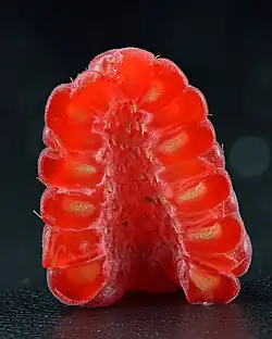 Halveret hindbær; blomsterbunden er fraværende