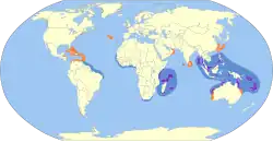 Rosenternens udbredelse. Rød = sommerkvarterer. Purpur = standfugl. Blå = vinterkvarterer.