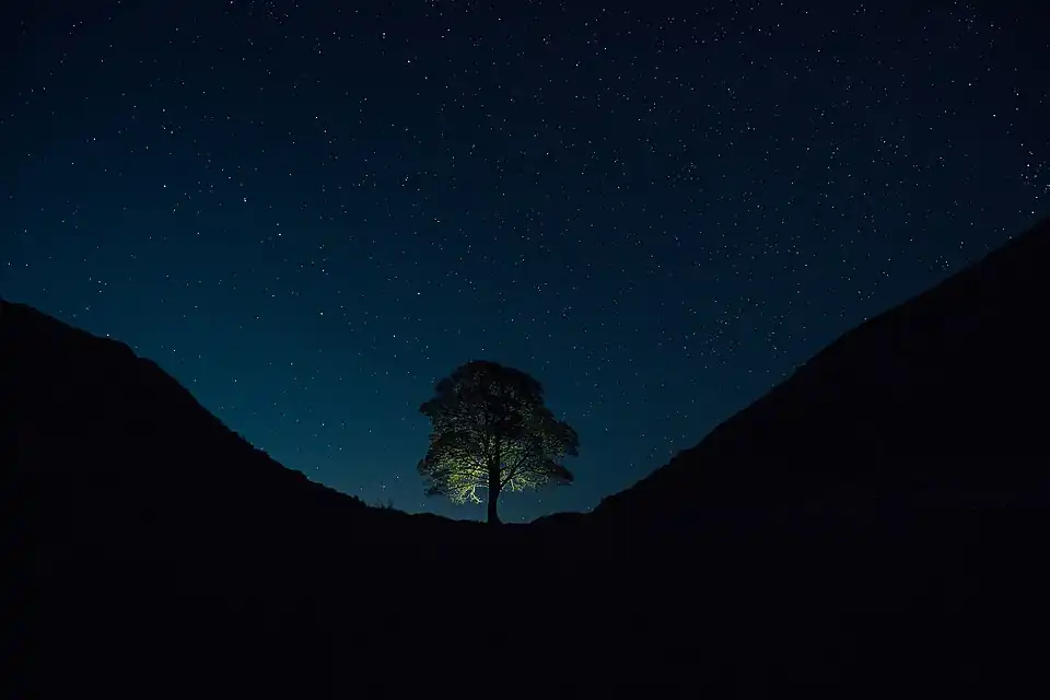 Astrofotografi ved Sycamore Gap