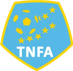 Shirt badge/Association crest