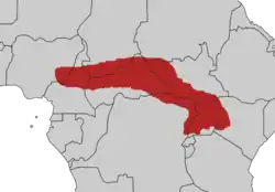 Hvidtoppet turakos udbredelse