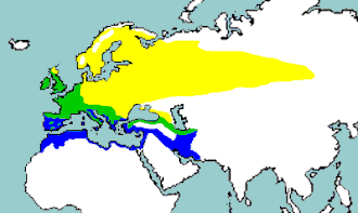 Sangdroslens udbredelse
:::: Yngletid
:::: Helårligt
:::: Vinterkvarter